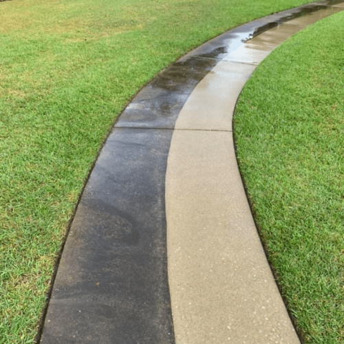 Sidewalk Concrete Cleaning